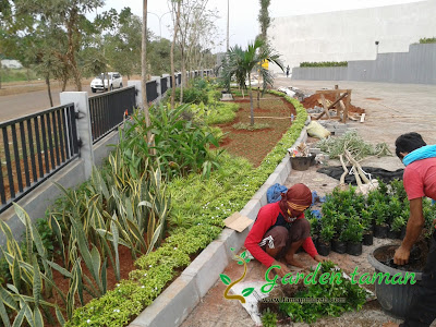 TUKANG TAMAN JAKARTA