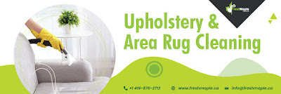 Upholstery%20&%20Area%20%20Rug%20Cleaning%203.jpg