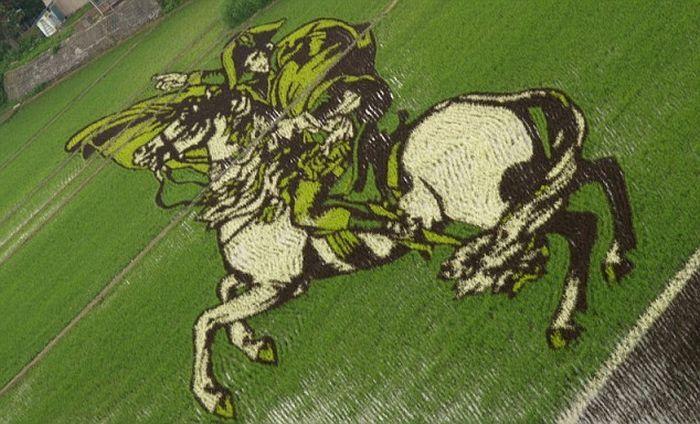 Japanese Rice Field Creative Art Work - AmAzing Photos Seen On lolpicturegallery.blogspot.com