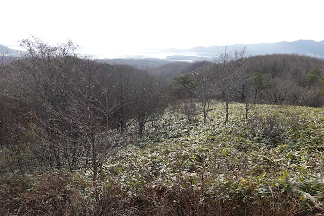 岡山県真庭市の蒜山下徳山 蒜山大山スカイラインからの眺望