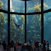 โอ้โหตื่นตา!! 10 "พิพิธภัณฑ์สัตว์น้ำ" มหาสมุทรจำลอง! สุดทึ่งงดงามอลังการ
ราวกับสิงอยู่ใต้ท้องทะเล!!