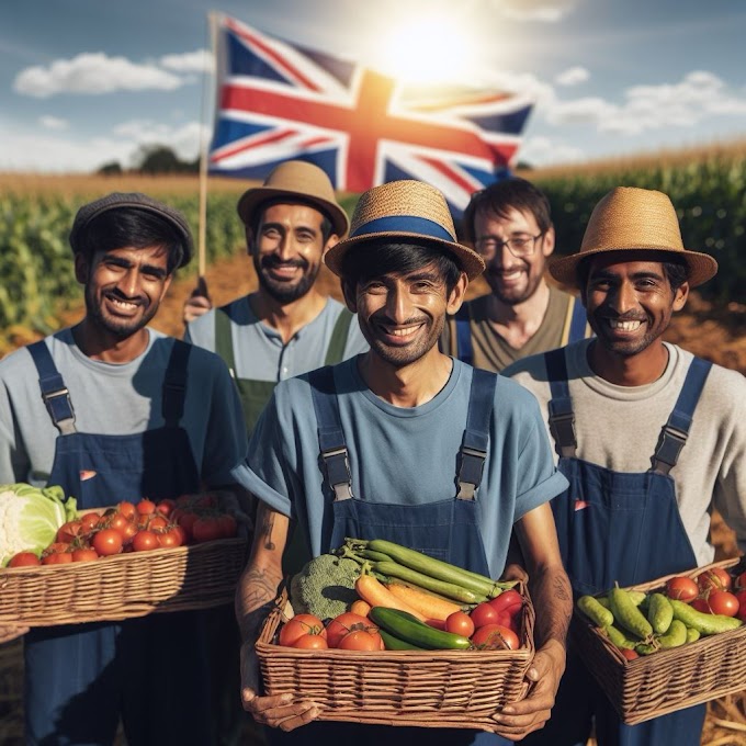 Exploring Opportunities: UK Seasonal Worker Visa and Application Process