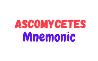 Ascomycetes Trick mnemonic