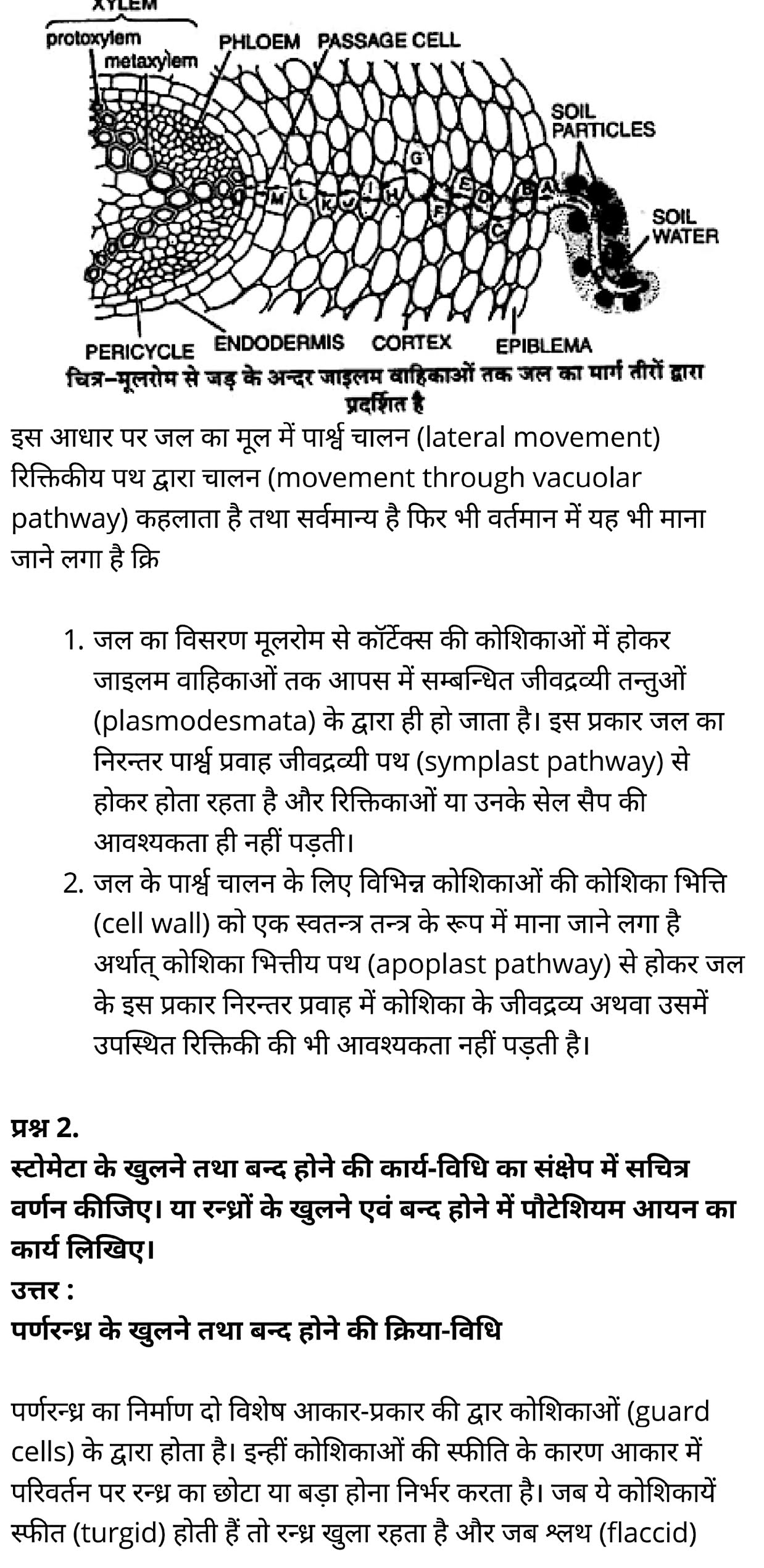 कक्षा 11 जीव विज्ञान अध्याय 11 के नोट्स हिंदी में एनसीईआरटी समाधान,   class 11 Biology Chapter 11,  class 11 Biology Chapter 11 ncert solutions in hindi,  class 11 Biology Chapter 11 notes in hindi,  class 11 Biology Chapter 11 question answer,  class 11 Biology Chapter 11 notes,  11   class Biology Chapter 11 in hindi,  class 11 Biology Chapter 11 in hindi,  class 11 Biology Chapter 11 important questions in hindi,  class 11 Biology notes in hindi,  class 11 Biology Chapter 11 test,  class 11 BiologyChapter 11 pdf,  class 11 Biology Chapter 11 notes pdf,  class 11 Biology Chapter 11 exercise solutions,  class 11 Biology Chapter 11, class 11 Biology Chapter 11 notes study rankers,  class 11 Biology Chapter 11 notes,  class 11 Biology notes,   Biology  class 11  notes pdf,  Biology class 11  notes 2021 ncert,  Biology class 11 pdf,  Biology  book,  Biology quiz class 11  ,   11  th Biology    book up board,  up board 11  th Biology notes,  कक्षा 11 जीव विज्ञान अध्याय 11, कक्षा 11 जीव विज्ञान का अध्याय 11 ncert solution in hindi, कक्षा 11 जीव विज्ञान  के अध्याय 11 के नोट्स हिंदी में, कक्षा 11 का जीव विज्ञान अध्याय 11 का प्रश्न उत्तर, कक्षा 11 जीव विज्ञान अध्याय 11 के नोट्स, 11 कक्षा जीव विज्ञान अध्याय 11 हिंदी में,कक्षा 11 जीव विज्ञान  अध्याय 11 हिंदी में, कक्षा 11 जीव विज्ञान  अध्याय 11 महत्वपूर्ण प्रश्न हिंदी में,कक्षा 11 के जीव विज्ञानके नोट्स हिंदी में,जीव विज्ञान  कक्षा 11 नोट्स pdf,