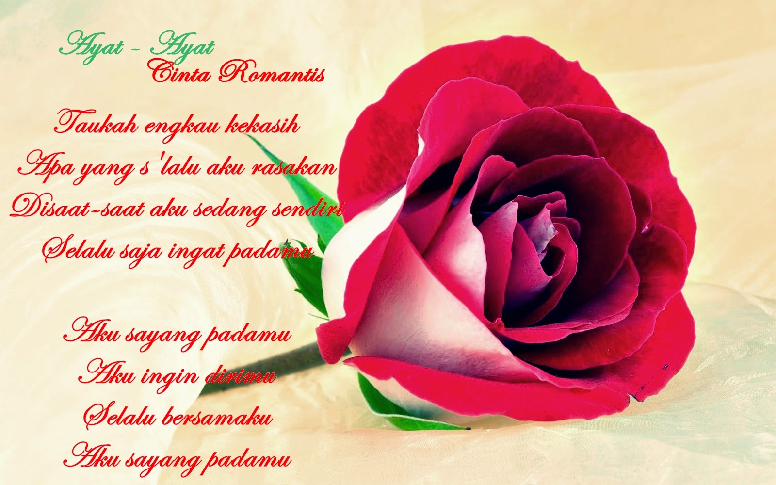 Download Gambar Wallpaper Romantis Gudang Wallpaper 