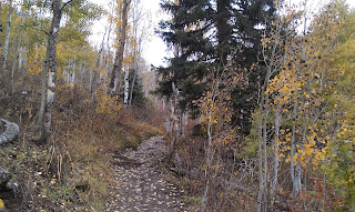 Lake Desolation Trail