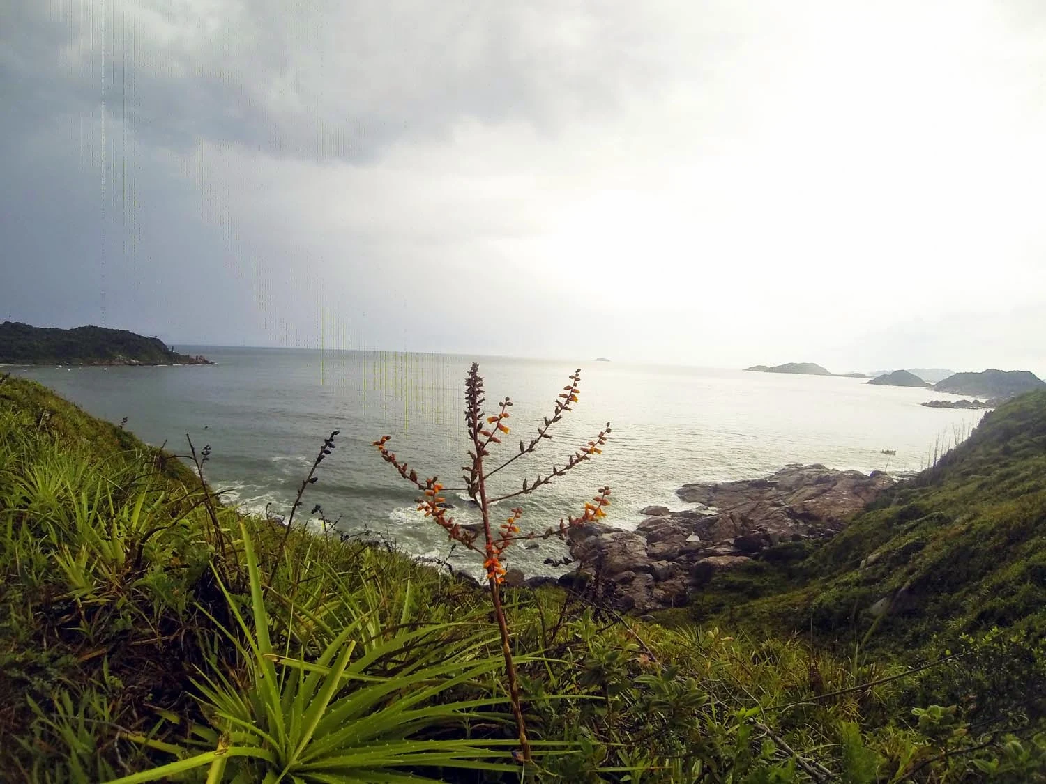 Praia de Naufragados