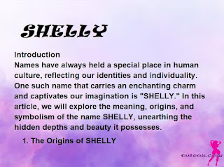 meaning of the name "SHELLY"