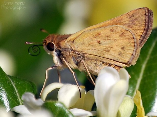 CSC_1190