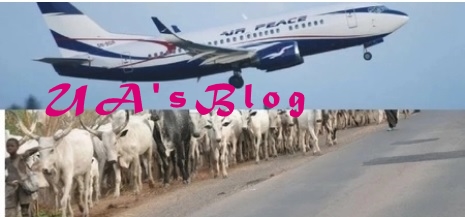 Air Peace aircraft delayed from landing for more than 15 minutes by cows - Fayose 