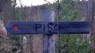 Pisa Nilsiä Kartta