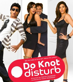 Do Knot Disturb 2009 Hindi Movie Download