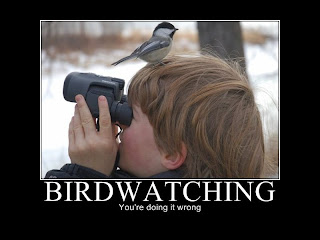 motivational birdwatching you are doing it wrong, motivational posters, motivational pictures, motivational funny, motivational funny pictures, motivational birdwatching, motivational you are doing it wrong, you are doing it wrong