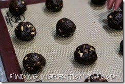 IMG_1162 (800x533)