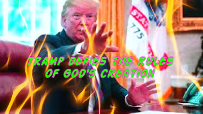 Trump défie les règles de la création de Dieu, une vertu entre la réalité et ses calcu