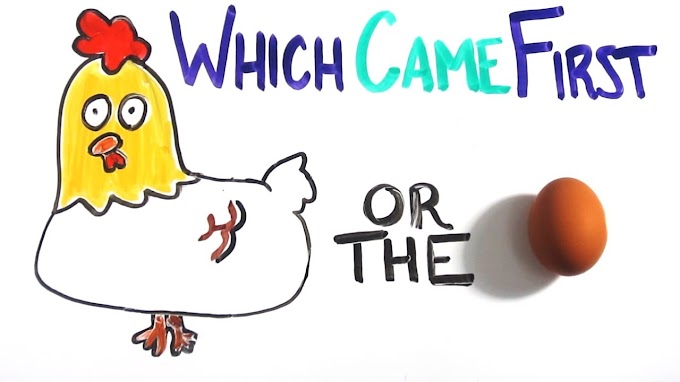 What came first - chicken or egg? Finally it is solved