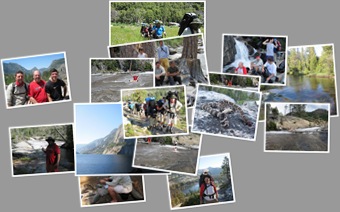 View Yosemite 2010