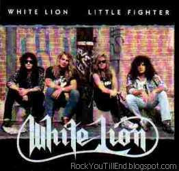 White lion little fighter