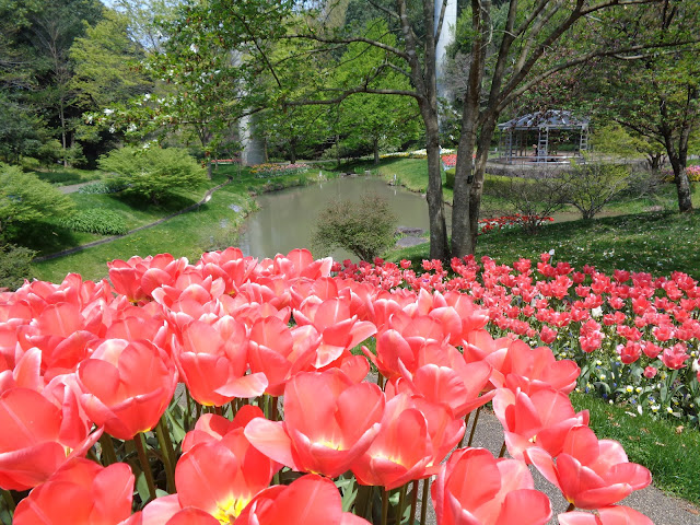 花の谷