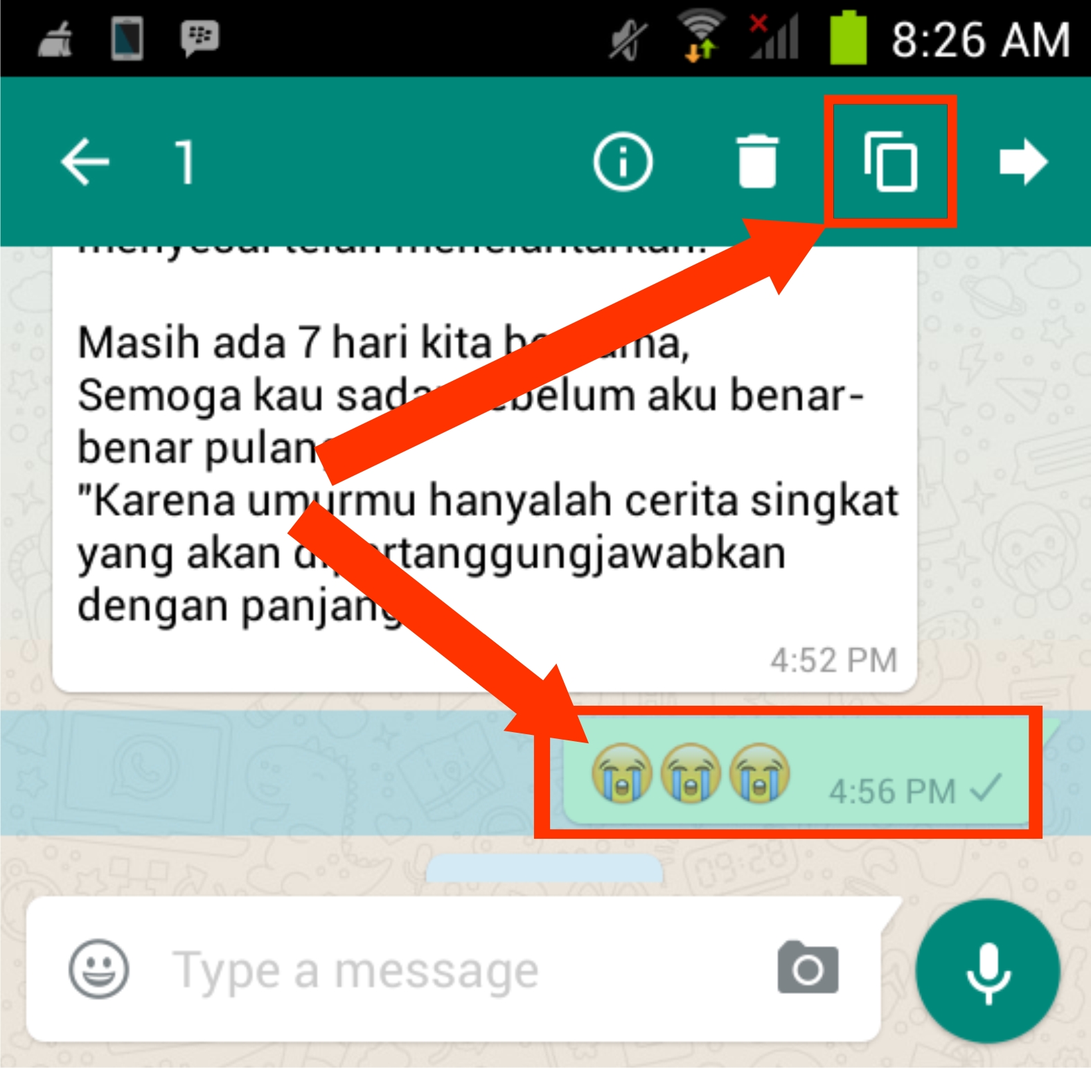 Cara Melakukan Copy Paste Pada Aplikasi WhatsApp Di Android IOS