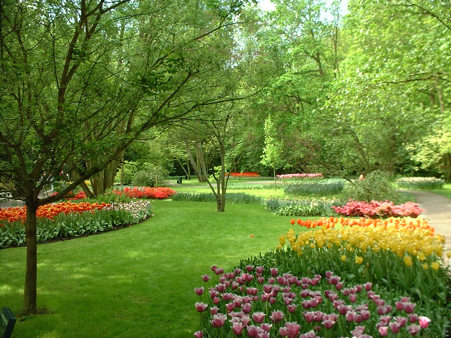 200 HD Wallpaper-  Green Flower- nature background- green garden- Free Download