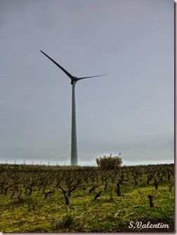 P1140496