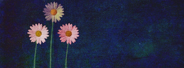 Dark Blue pink Flowers Facebook Timeline Cover 