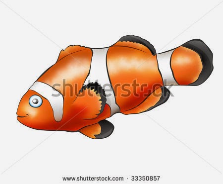 Fish Cartoon Characters