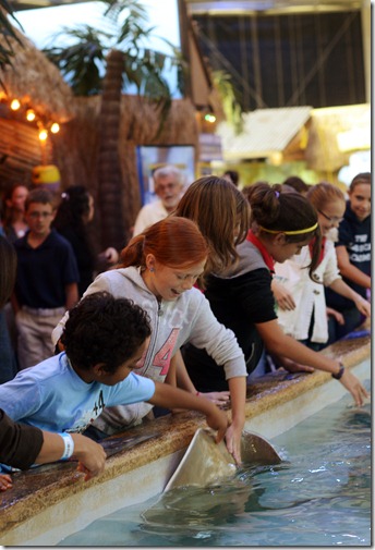 Aquarium8