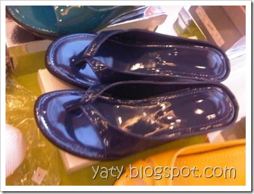 IMG03063-20110325-1323