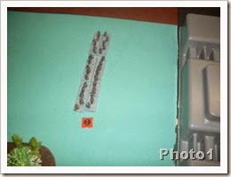 Tuesday night 027