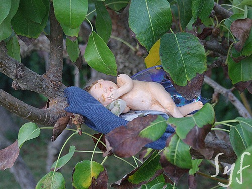 baby1