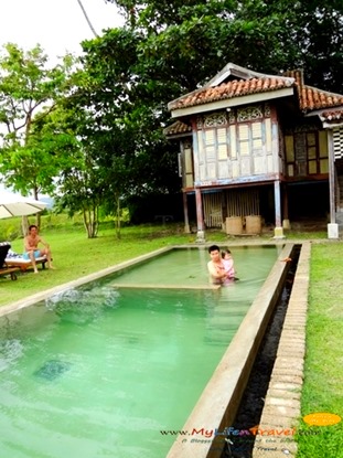 Temple Tree Swimming pool