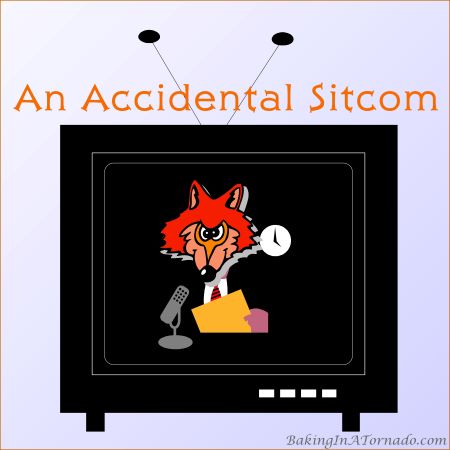 An Accidental Sitcom | graphic designed by, featured on, and property of www.BakingInATornado.com | #MyGraphics #blogging