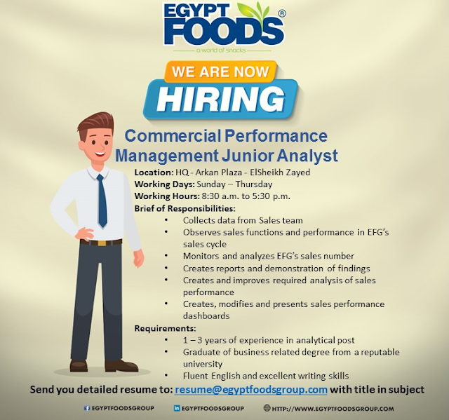 Commercial performance management junior Analyst / Sales Handheld Admin / Fp&A Analyst For Egypt Foods 