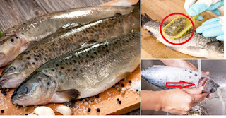 Tips Buat Yang Baru "Bertitel" Istri, Inilah Cara Praktis Mengusir Bau Amis Pada Ikan, No 1 & 2 "GAMPANG BANGET"!!