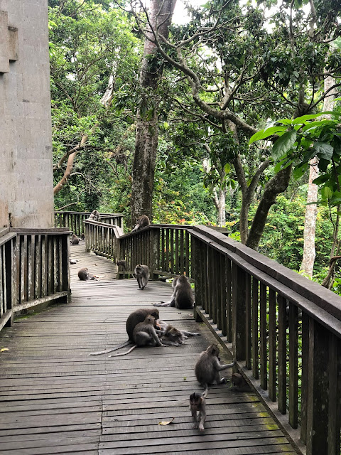 The Monkey Forest, Ubud, Bali, Indonesia