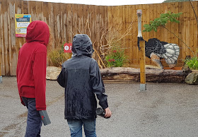 Knowsley Ultimate Brick Safari LEGO ostrich in distance with 2 boys looking in the rain