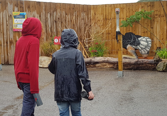 Knowsley Ultimate Brick Safari LEGO ostrich in distance with 2 boys looking in the rain