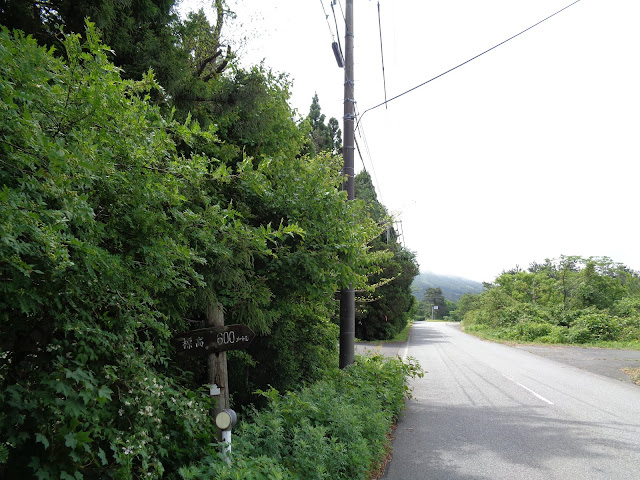 大山環状道路は香取のメインストリートです直線で約1Kｍ
