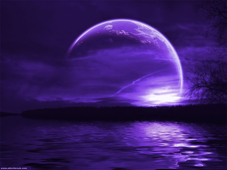  Purple moon 