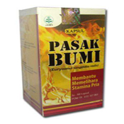 OBAT KUAT HERBAL TERBAIK PALING AMPUH DAN PALING LARIS ...