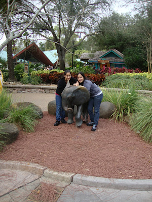 Parque temático Busch Gardens - Tampa - Florida