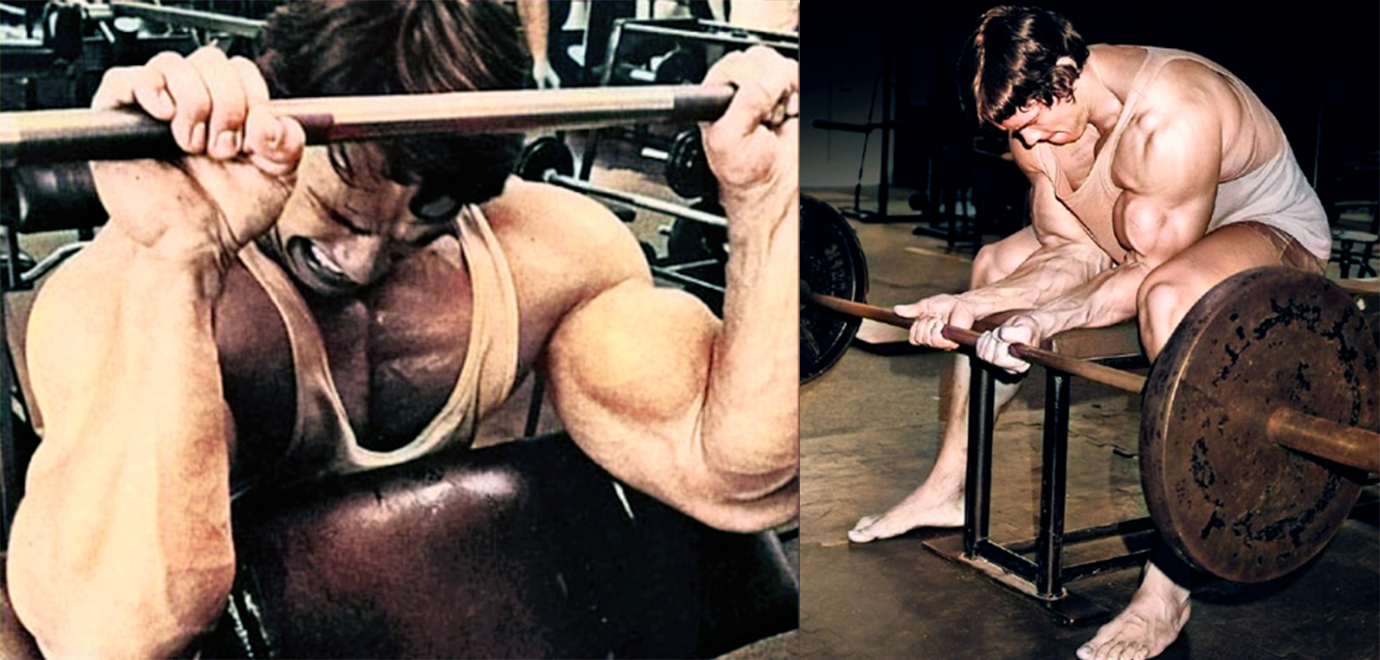 Arnold's Ultimate Guide to Building Back Muscle with the Best Back