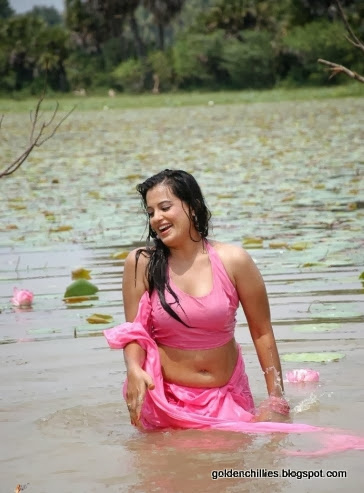 wet saree videos 