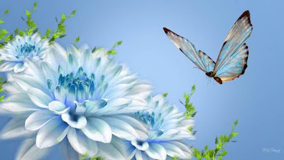 nature flower wallpaper hd for desktop free download