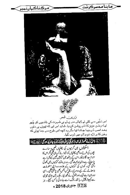 Nanhi kali novel by Zareen Qamar