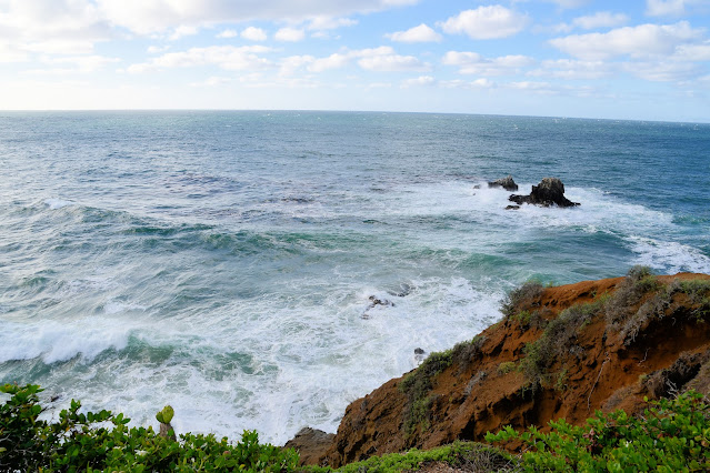 Pacific Coast Highway (2)