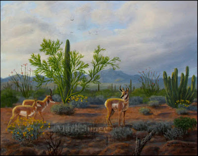 Sonoran pronghorn,endangered,desert wildlife,cactus,clouds,Organ Pipe Cactus National Monument,animal