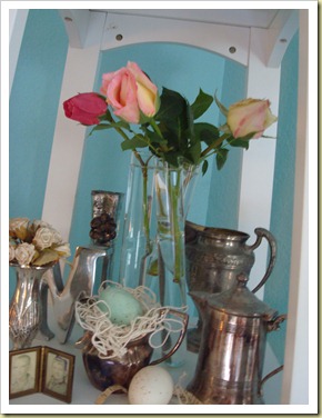 roses 011